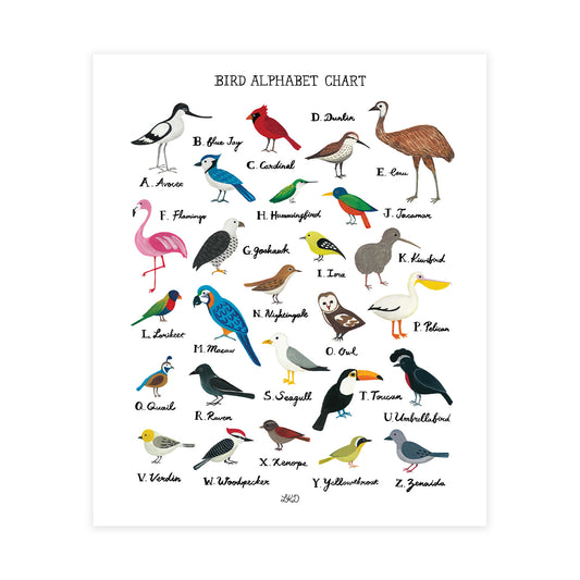 Bird Alphabet Chart Art Print