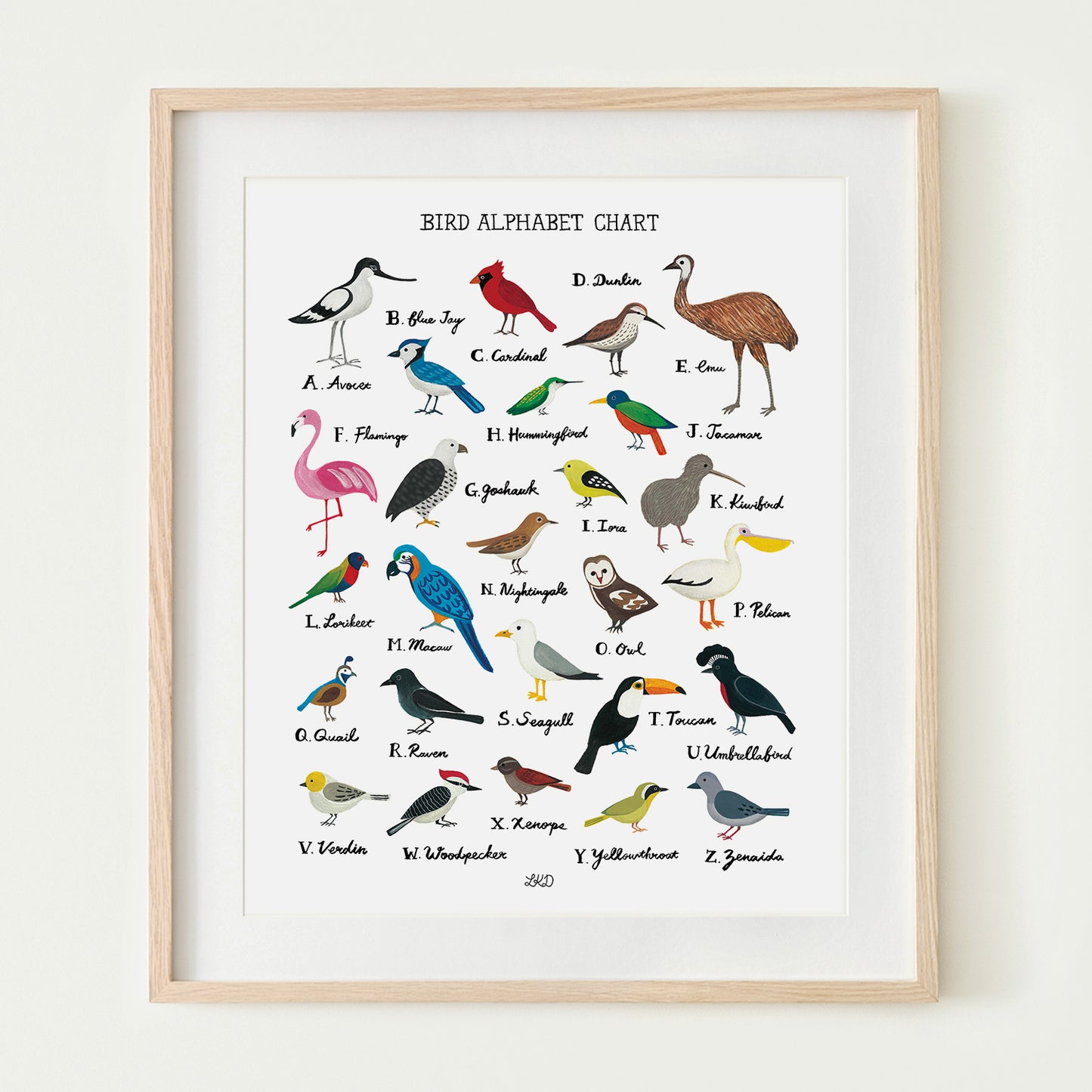 Bird Alphabet Chart Art Print
