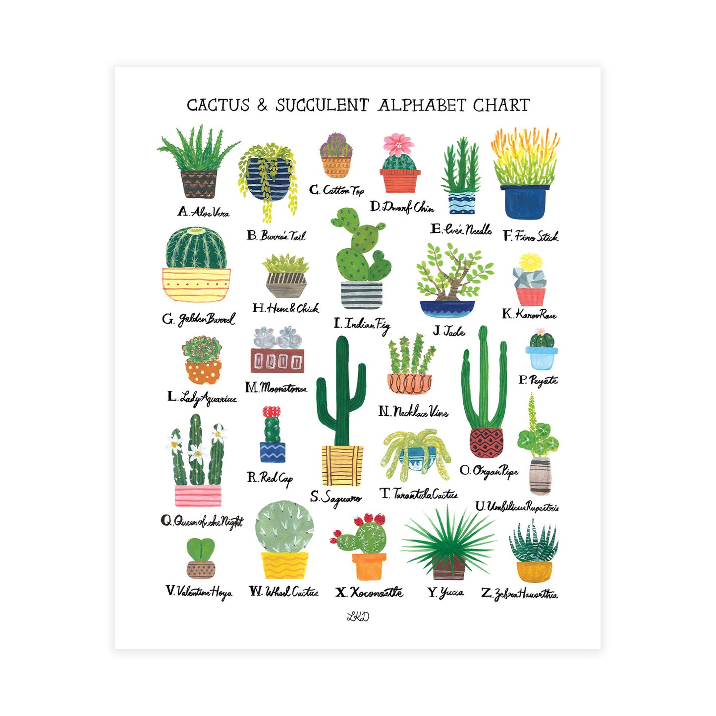 Cactus & Succulent Alphabet Chart Art Print