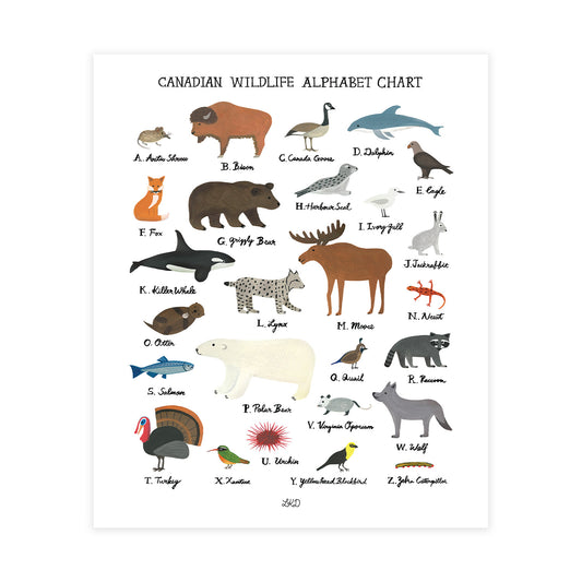 Canadian Wildlife Alphabet Chart Art Print