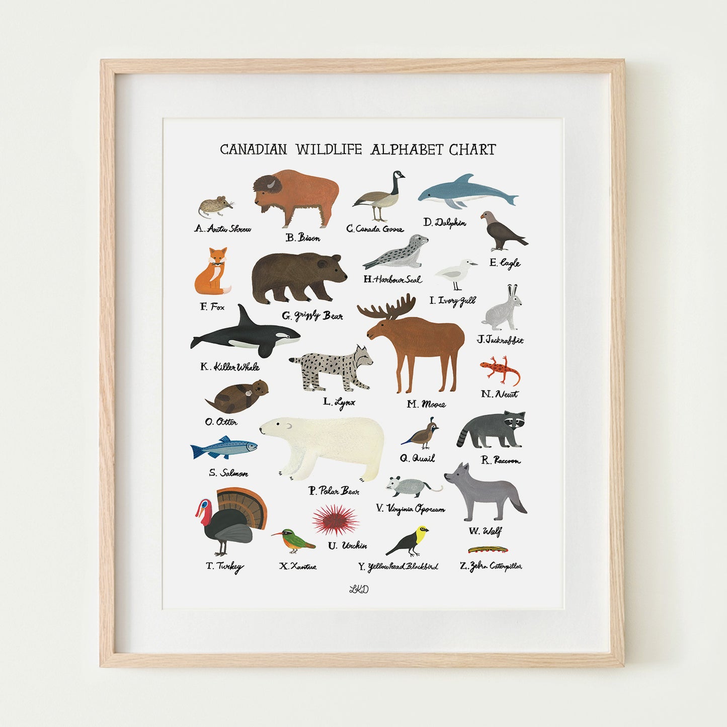 Canadian Wildlife Alphabet Chart Art Print