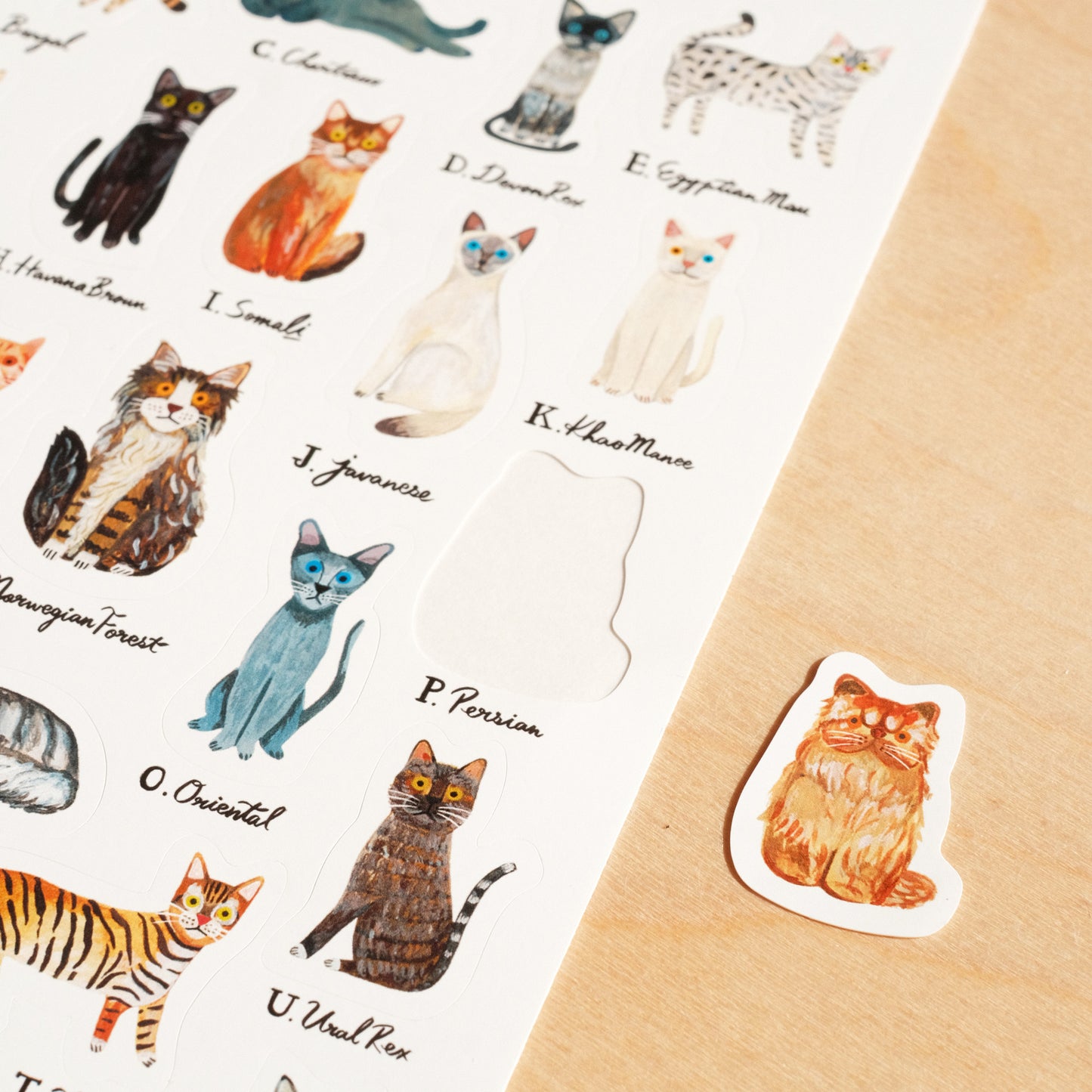 Cat Alphabet Sticker Sheet