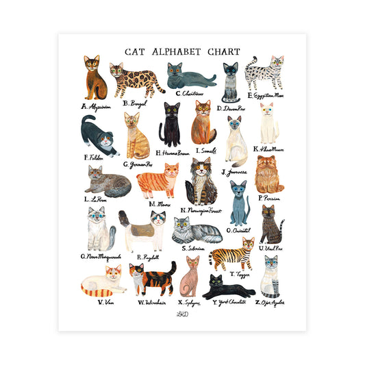Cat Alphabet Chart Art Print