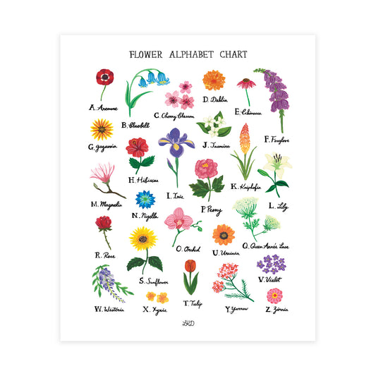 Flower Alphabet Chart Art Print