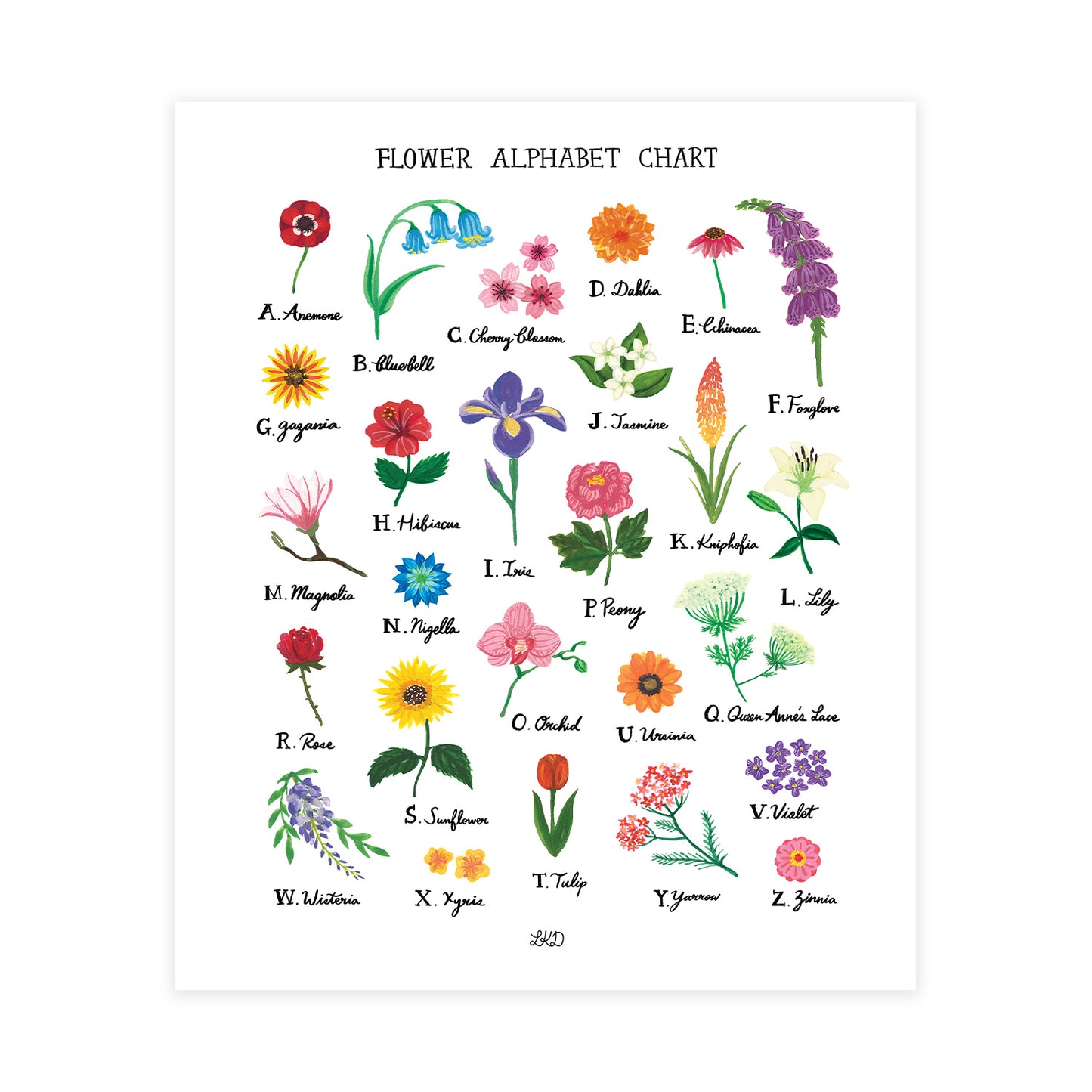 Flower Alphabet Chart Art Print