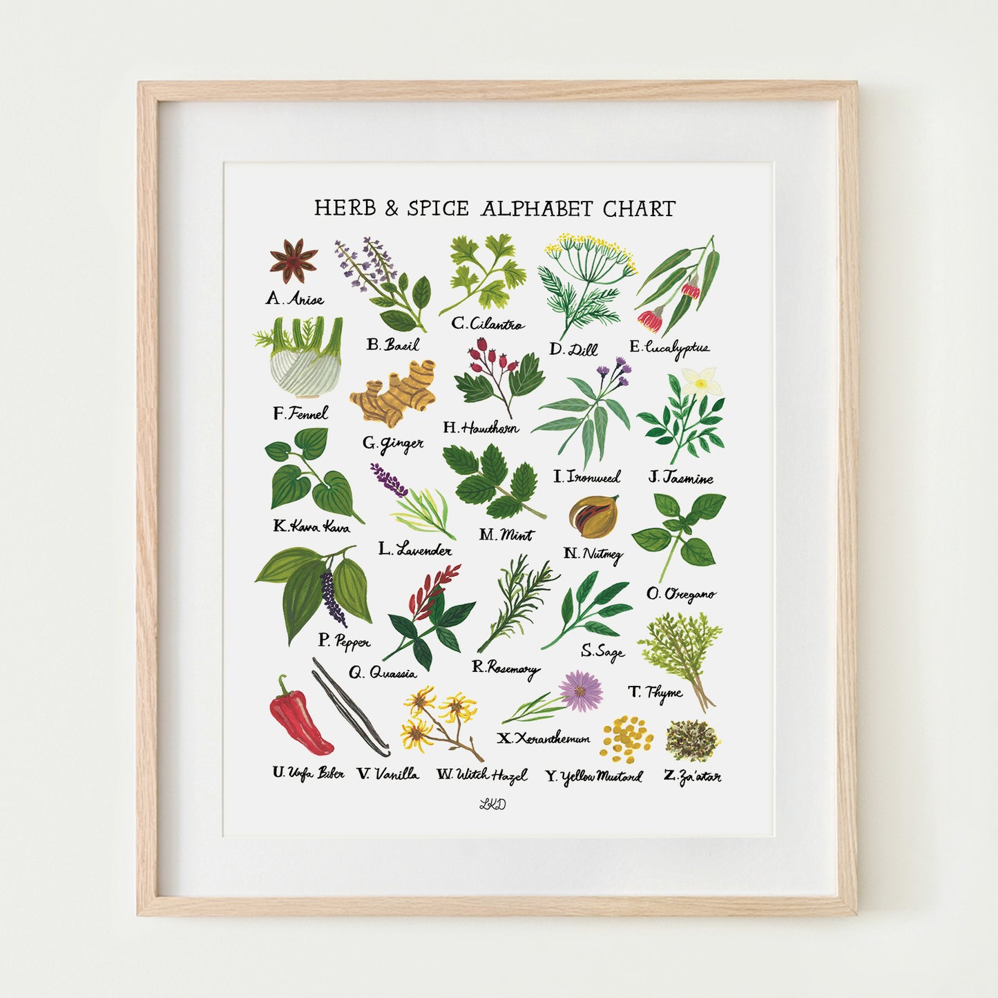 Herb & Spice Alphabet Chart Art Print