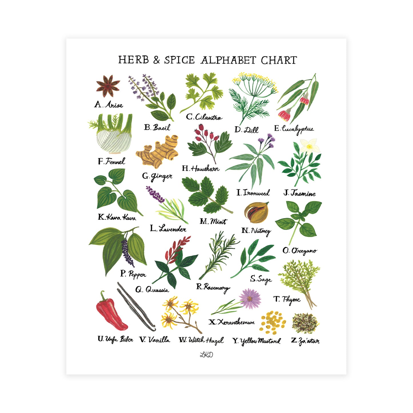 Herb & Spice Alphabet Chart Art Print