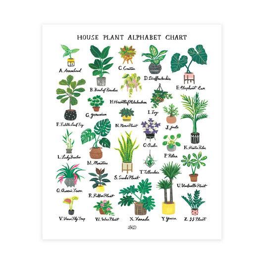 House Plant Alphabet Chart Art Print