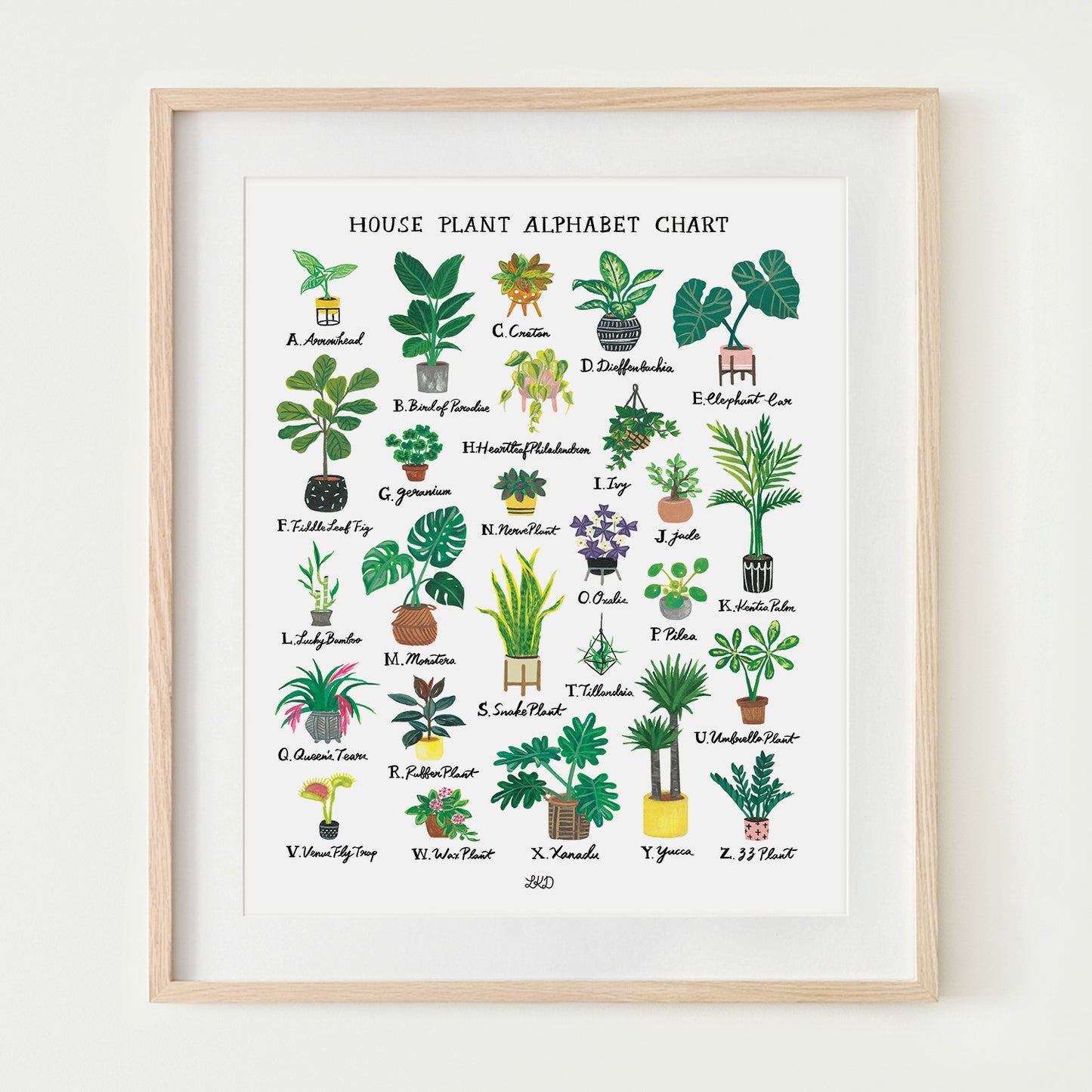 House Plant Alphabet Chart Art Print