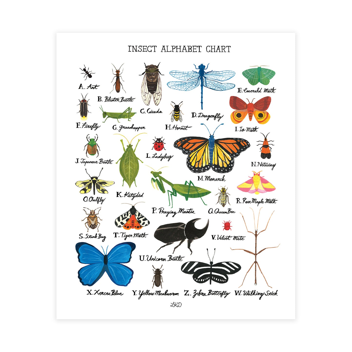 Insect Alphabet Chart Art Print