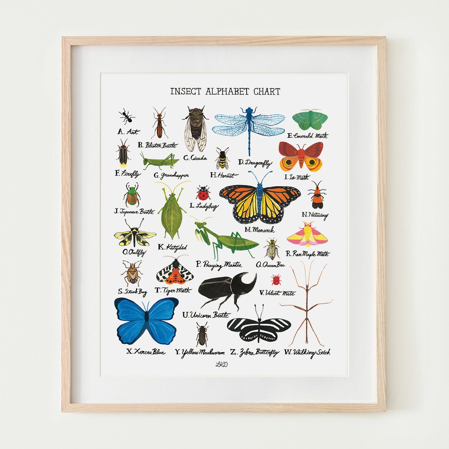 Insect Alphabet Chart Art Print