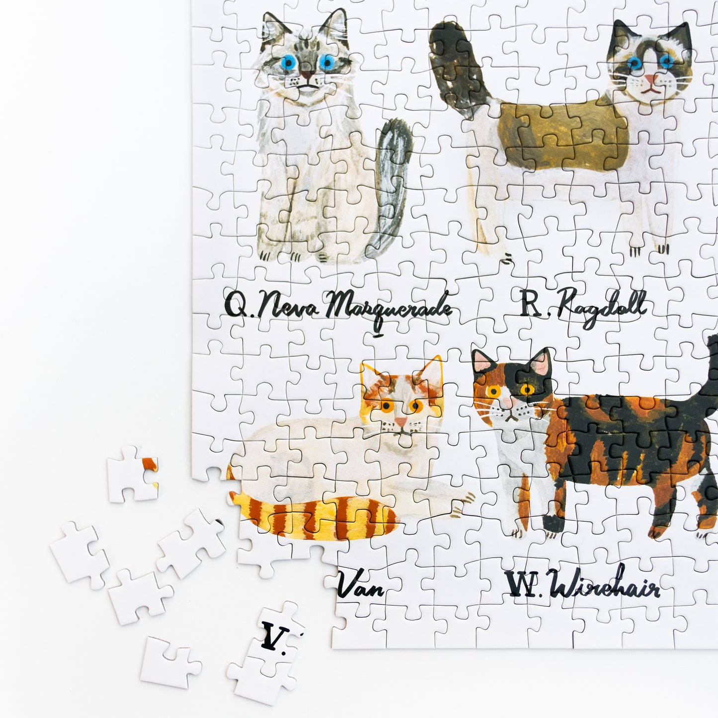 Cat Alphabet Puzzle