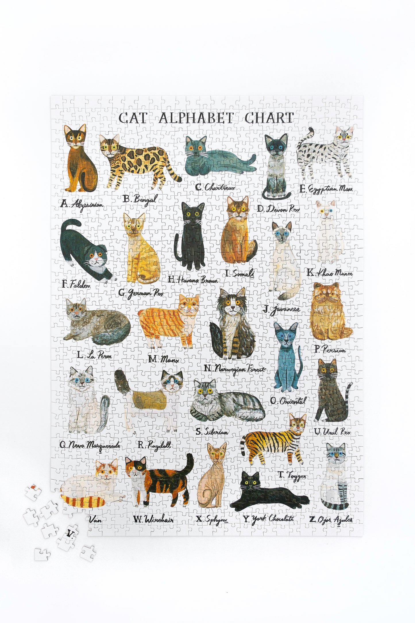 Cat Alphabet Puzzle