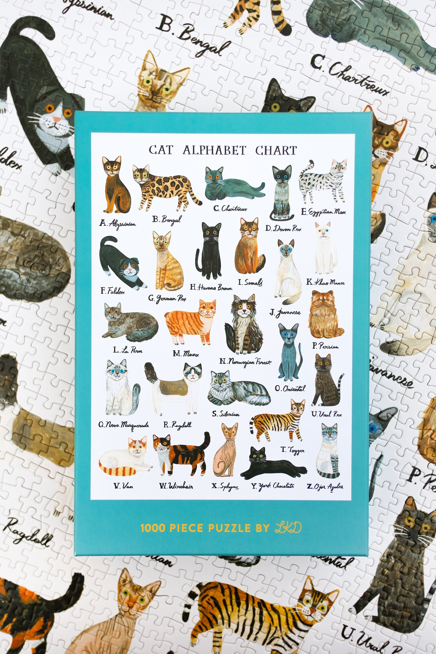 Cat Alphabet Puzzle