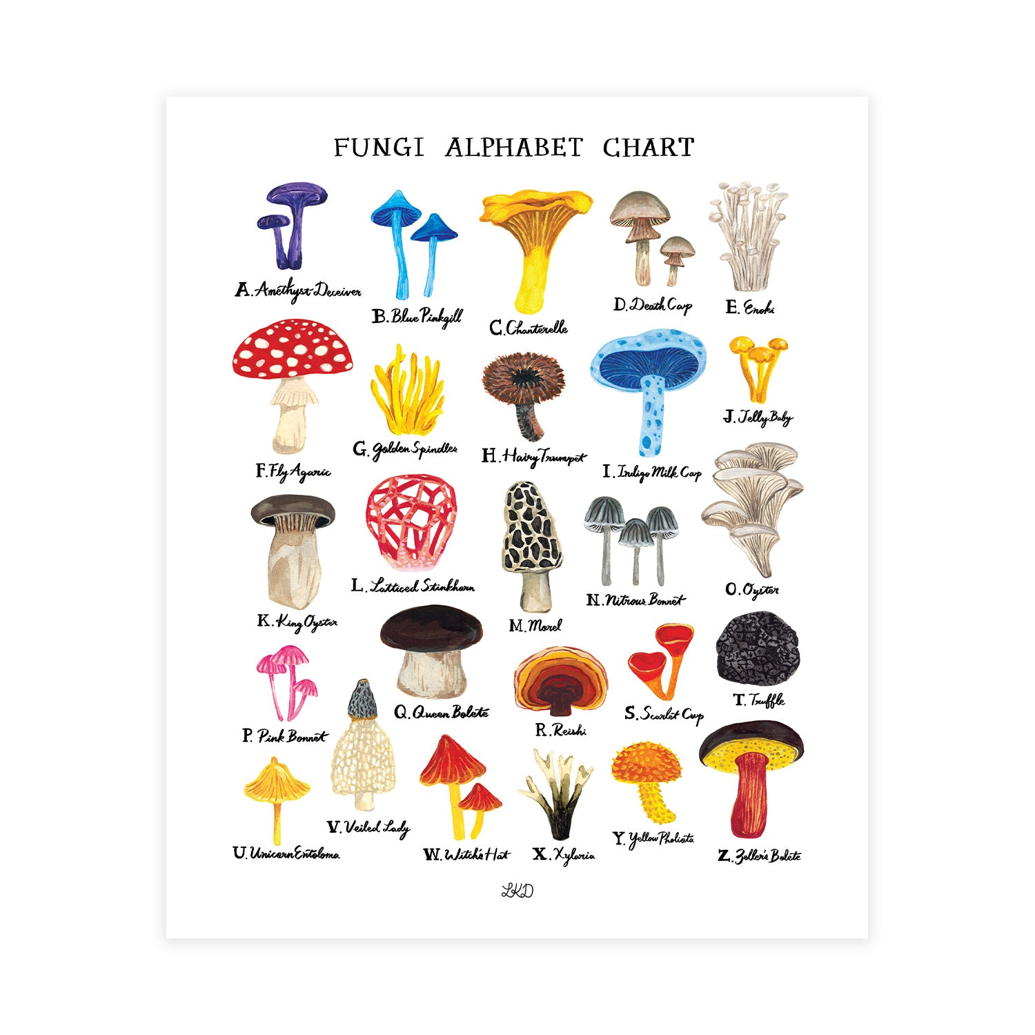 Fungi Alphabet Chart Art Print – Lily Kao Design