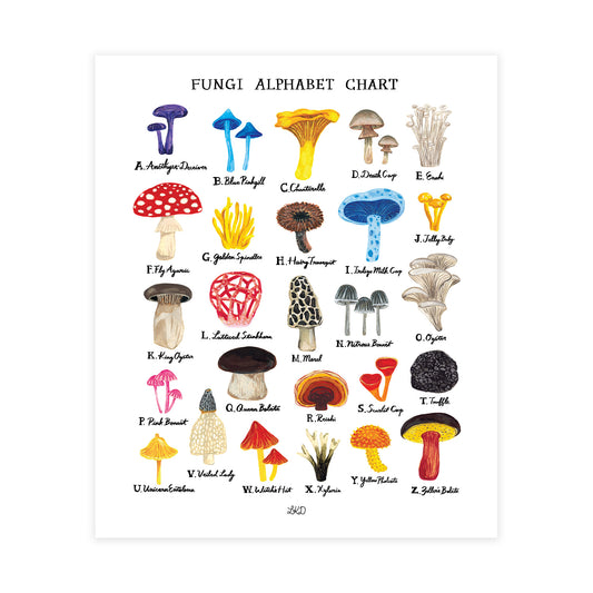 Fungi Alphabet Chart Art Print