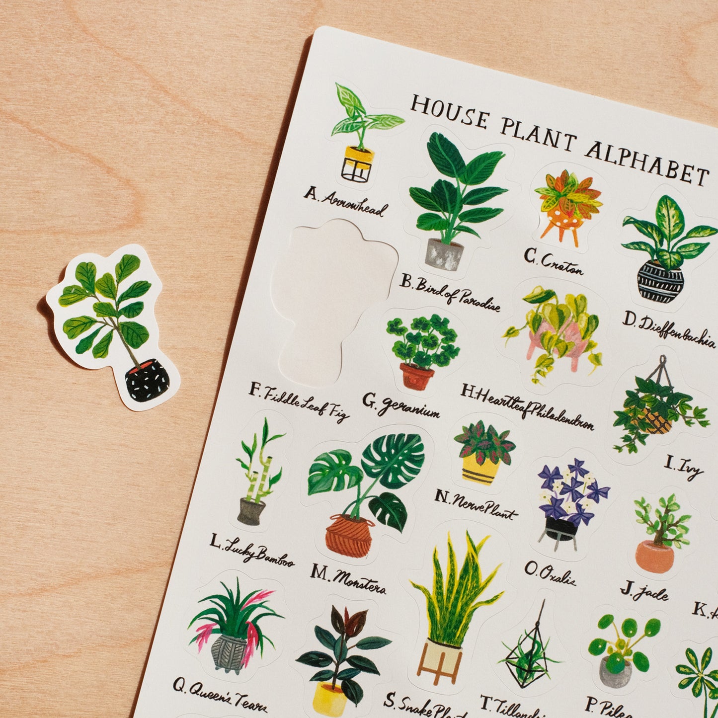 Houseplant Alphabet Sticker Sheet